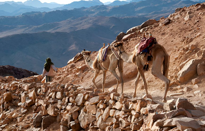 Mount Sinai And St. Catherine Overnight Tour From Cairo