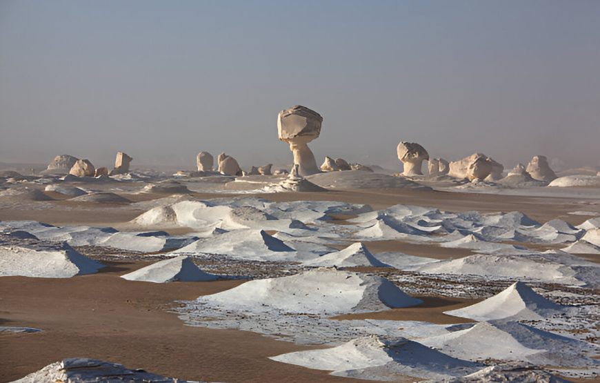 White Desert And Bahariya Oasis Overnight Safari Tour