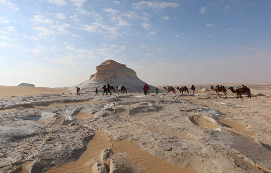 White Desert And Bahariya Oasis Overnight Safari Tour