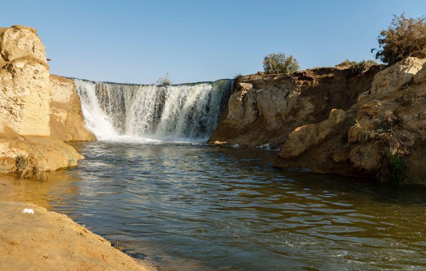 Fayoum Oasis Day Tour From Cairo