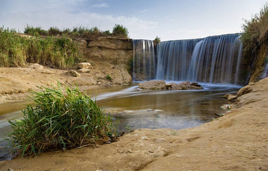 Fayoum Oasis Day Tour From Cairo